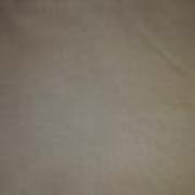 Toile Canvas Taupe