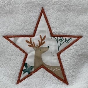 Motif 3